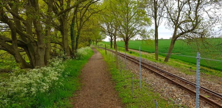 Bure Valley Cycling - path